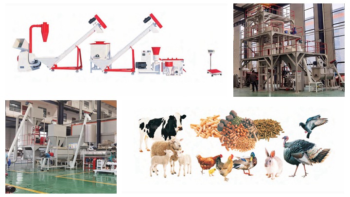 <h3>Home - Mikim-China High Quality Feed Extruder Supplier</h3>
